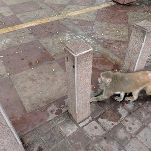 IMG_20190708_073930.jpg